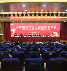 共青团绵阳市中医医院委员会第六次团员代表大会召开